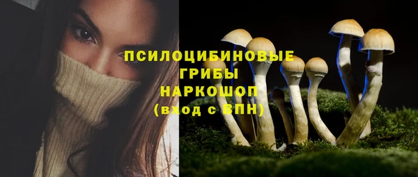 ПСИЛОЦИБИНОВЫЕ ГРИБЫ Абаза