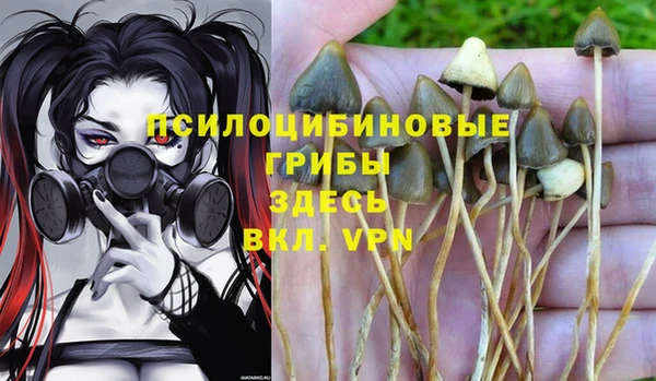 mdpv Абдулино