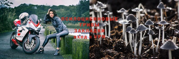 крисы Абинск