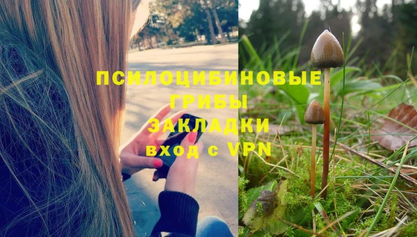 apvp Россошь