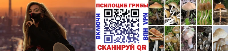 Псилоцибиновые грибы ЛСД Шарыпово