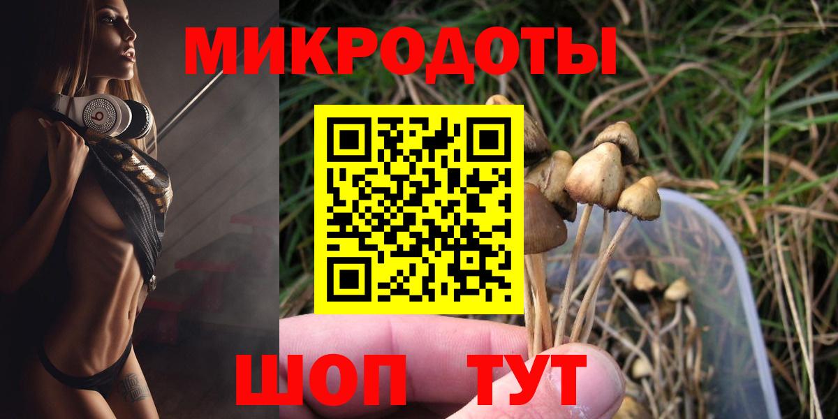 Шарыпово  Галлюциногенные грибы MAGIC MUSHROOMS  Вход с VPN 
